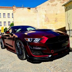 Candy Blood Red - Rot 100 ml, PMcolours